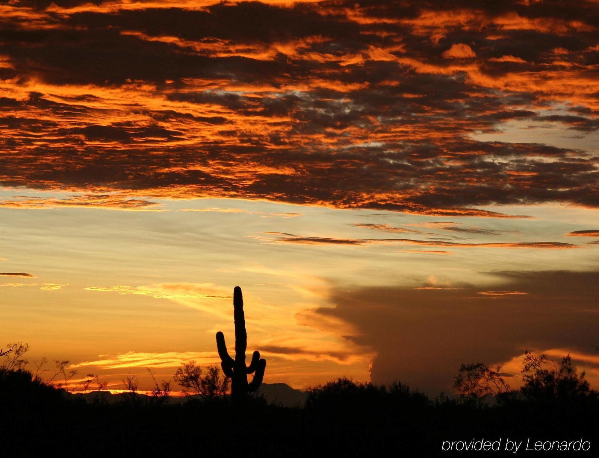 Sonesta Simply Suites Phoenix Glendale Bagian luar foto